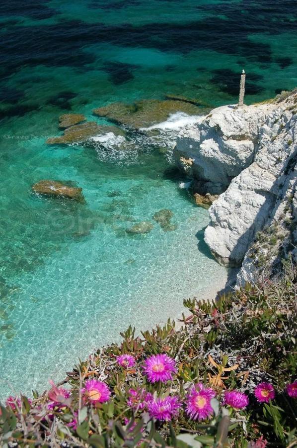 Mare Fuori Apartamento Portoferraio Exterior foto